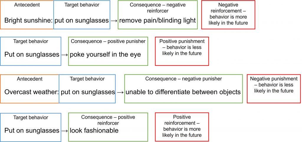 The answers to the activity are displayed. In the first example, the antecedent to the target behavior is the bright sunshine. The target response is putting on sunglasses. The consequence of removing pain/bright sunshine (or blinding light) is a negative reinforcer, which makes the overall contingency negative reinforcement. In the second example, the target behavior is more likely in the future. The consequence of poking yourself in the eye when putting on sunglasses is a positive punisher, and the overall contingency is positive punishment. The target behavior is less likely in the future. In the third example, the antecedent to the target behavior is the overcast weather. The target response is putting on sunglasses. The consequence of being unable to differentiate between objects is a negative punisher. The overall contingency is negative punishment, and the target behavior is less likely in the future. In the fourth example, the target behavior is putting on sunglasses. The consequence is looking fashionable, which is a positive reinforcer. The overall contingency is positive reinforcement, and the target behavior is more likely in the future.