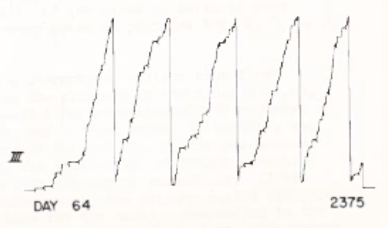 This image has an empty alt attribute; its file name is schedule.jpg